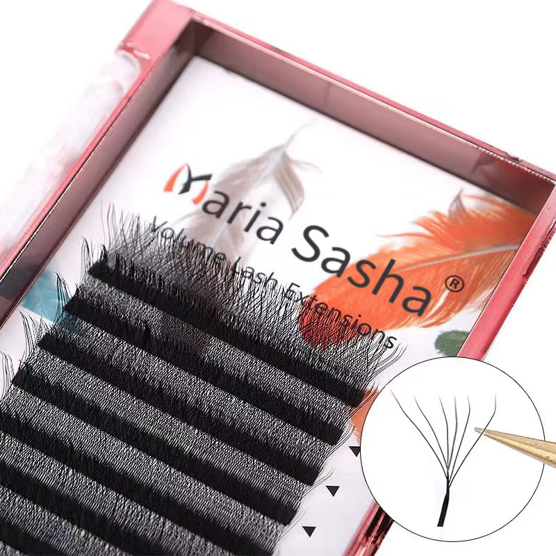 MARIA 6D W Style Extensions de cils fournitures facile ventilateur cils en gros préfabriqué Volume 1