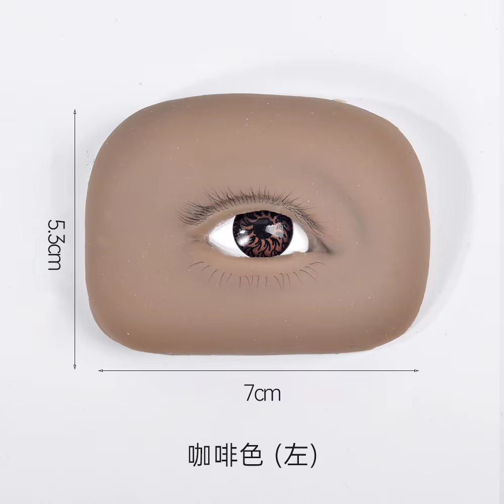 Outil de pratique d'extension de cils avec cils supérieurs et inférieurs, fonction de levage des pau