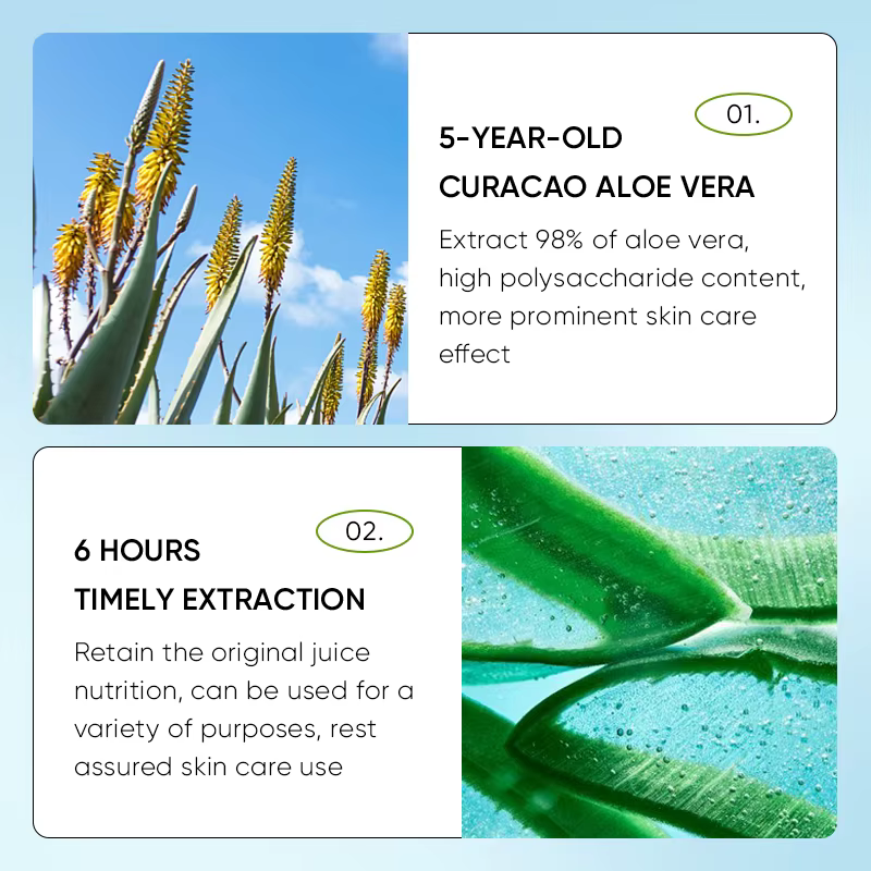24 pièces SADOER Aloe Vera baume à lèvres hydratant Anti fissuration hydratant nourrissant Anti ride