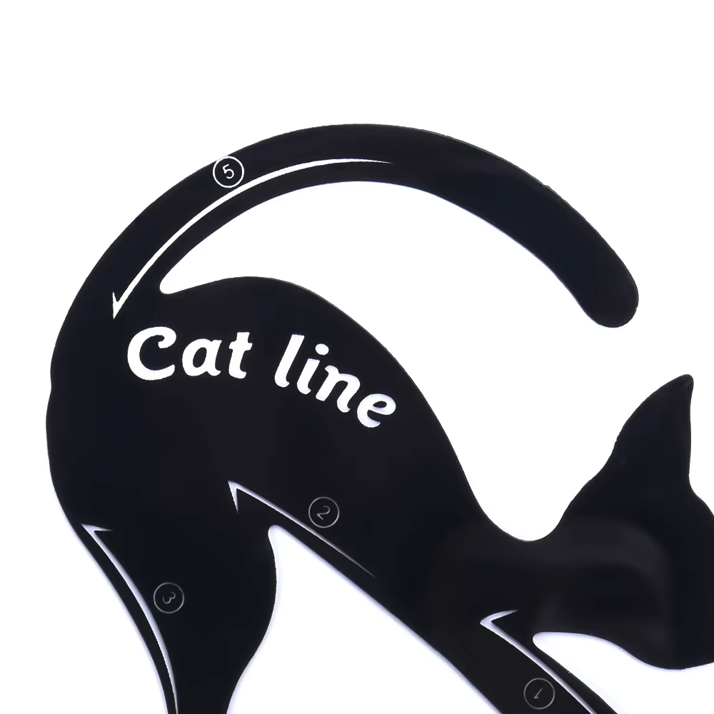 Pochoirs de maquillage pour les yeux, ligne de chat, noir, outil professionnel de maquillage pour le