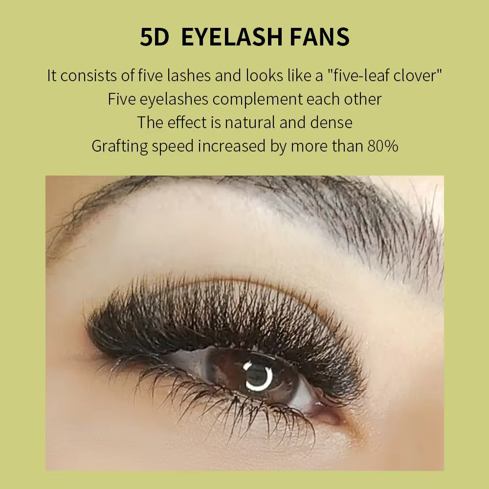 GLAMLASH 3D 4D 5D W en forme de cils cils facile ventilateur Extensions de cils en gros YY préfabriq