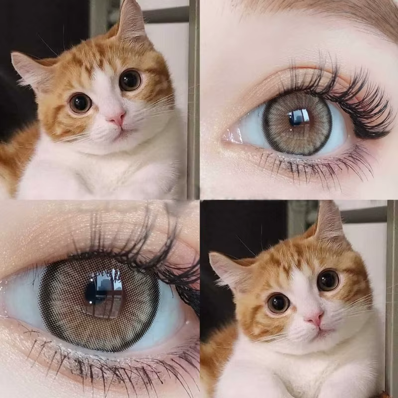 DUOXIU 2 pièces 1 paire de lentilles de Contact de couleur pour les yeux cosmétiques lentilles bleue