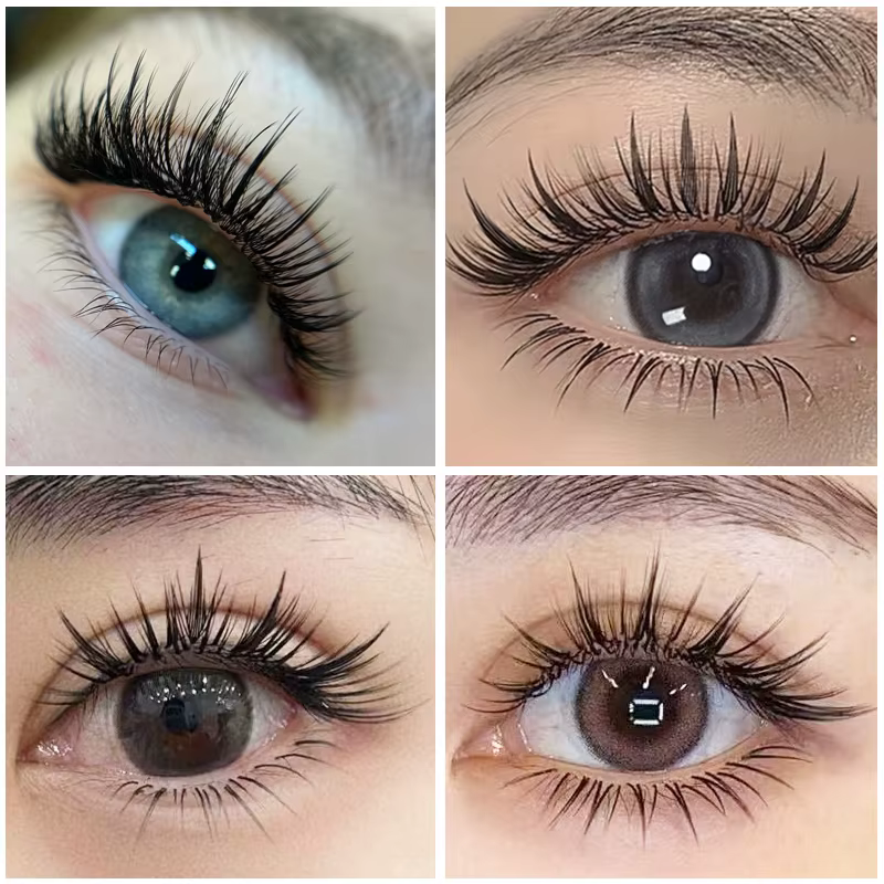 Befer Beauty-Extensions de Cils à Boucles C/D, 240 Grappes, Style Manga, Plume, Flora, Cat Eye, 8-15