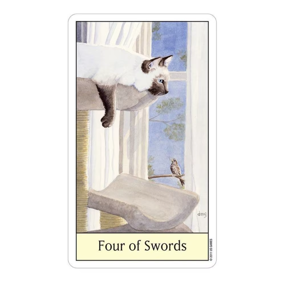 Jeux de cartes Tarot œil de chat 12x7 cm