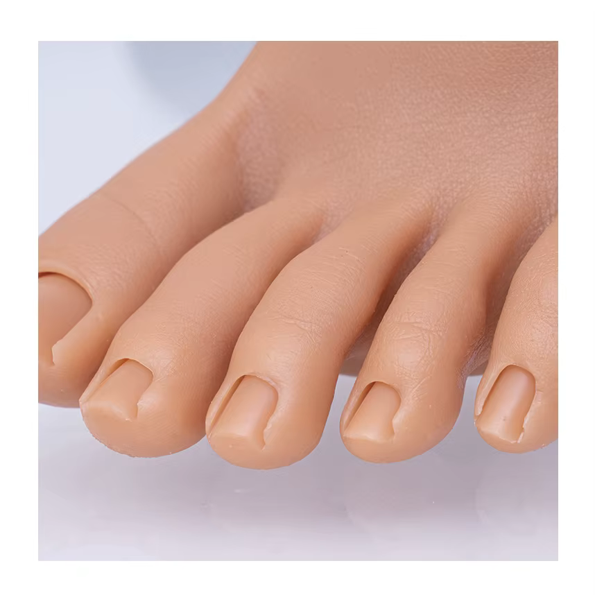 Faux Ongles en Silicone Liquide Flexible et Réaliste, Mannequin d'Entraînement des Pieds en Acrylique pour Artistes de Salon à Faire Soi-Même