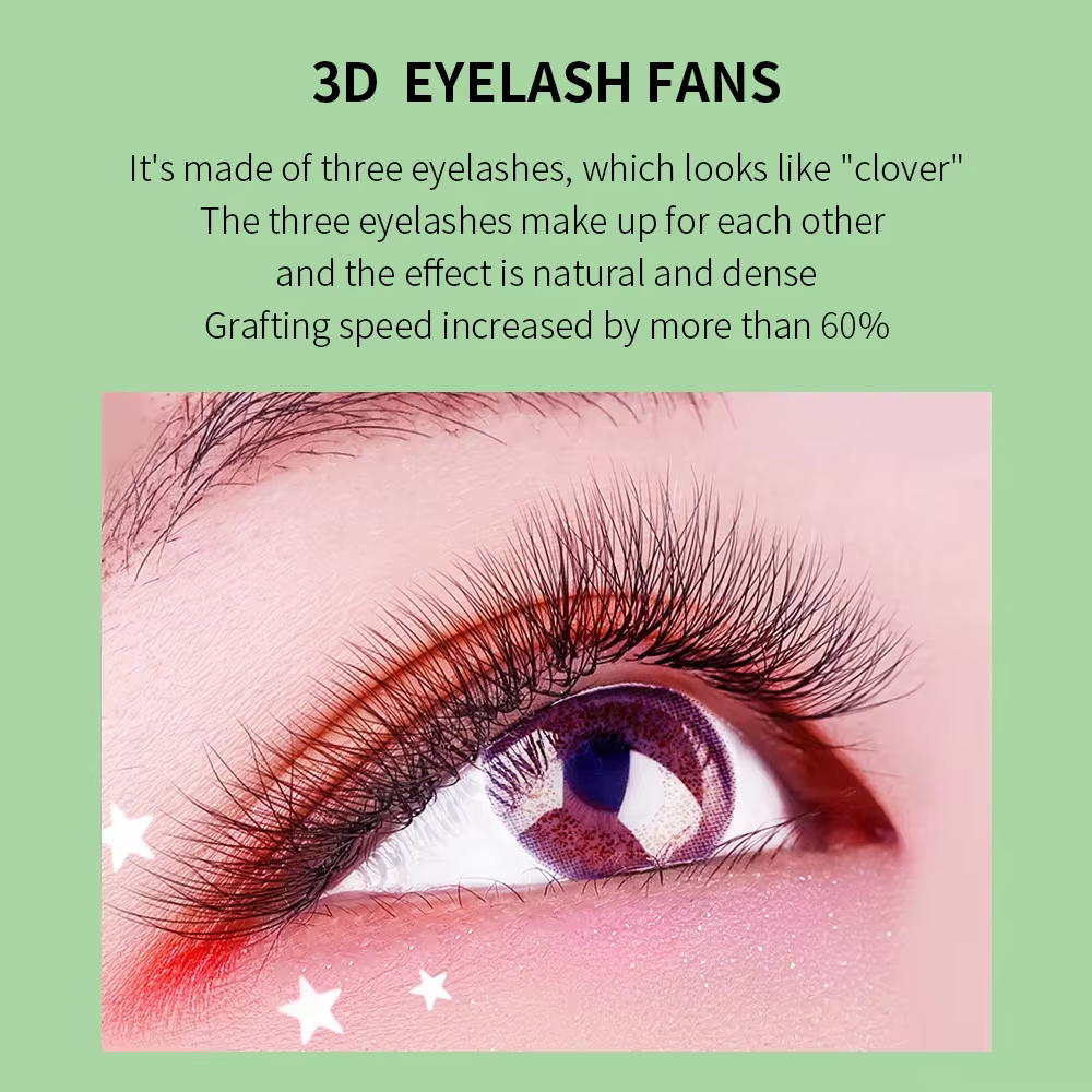 GLAMLASH L/LU/M W forme Extension de cils 3D préfabriqué Volume ventilateur
