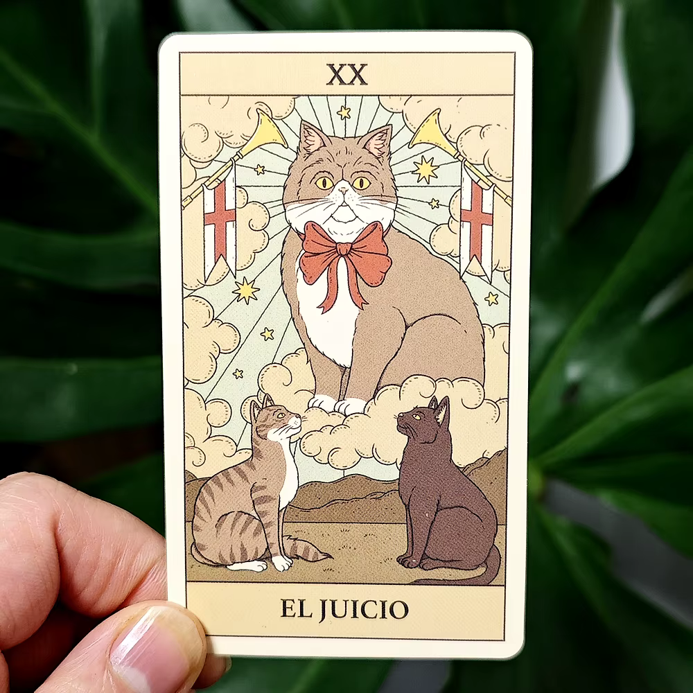 Les chats regulan le Tarot terrestre, jeu de 78 cartes, 10.3x6cm, pour l'édition espagnole Feline-Obsessed