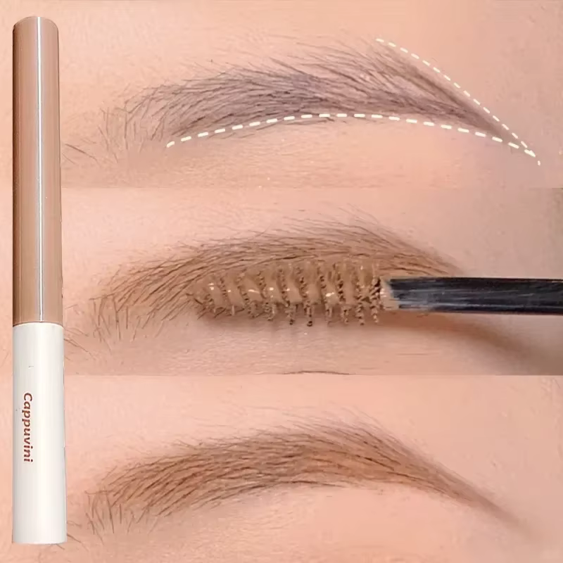 Ensemble de teinte de Gel de teinture pour rehausseur de sourcils naturel