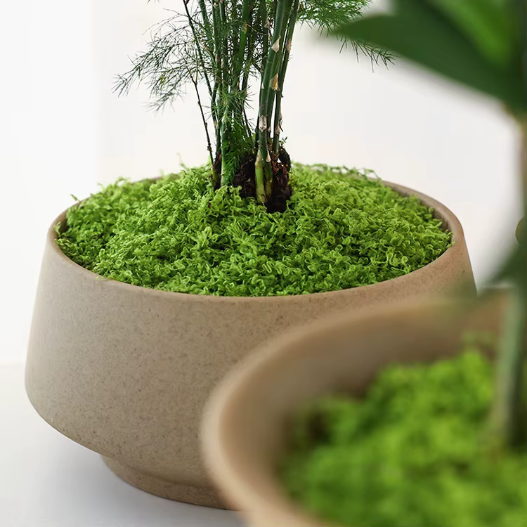 Faux mousse verte, artisanat de bricolage, herbe artificielle, fausse mousse conservée, plante verte, décoration de jardin, salle de maison, paysage, fausse herbe
