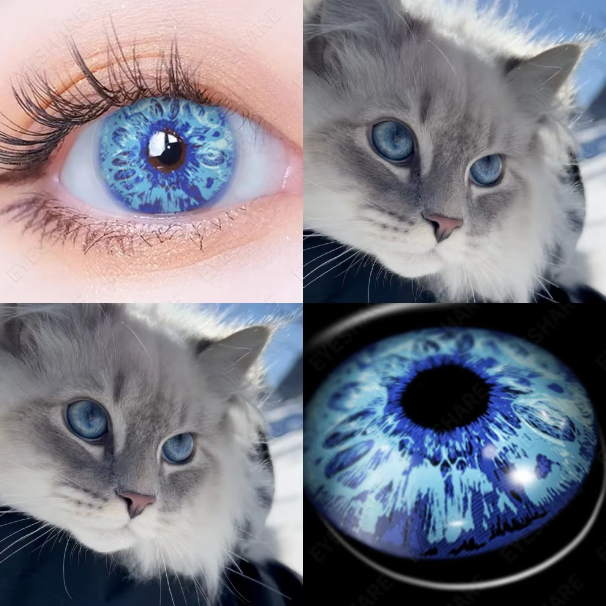 AMARA CAT EYE Cosplay lentilles de Contact de couleur bleue pour les yeux maquillage annuel Halloween beauté