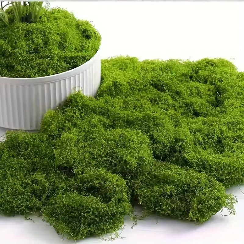 Mousse artificielle verte pour loisirs créatifs, herbe synthétique, fausse mousse stabilisée, plante verte, décoration maison, chambre, jardin, aménagement paysager, fausse herbe