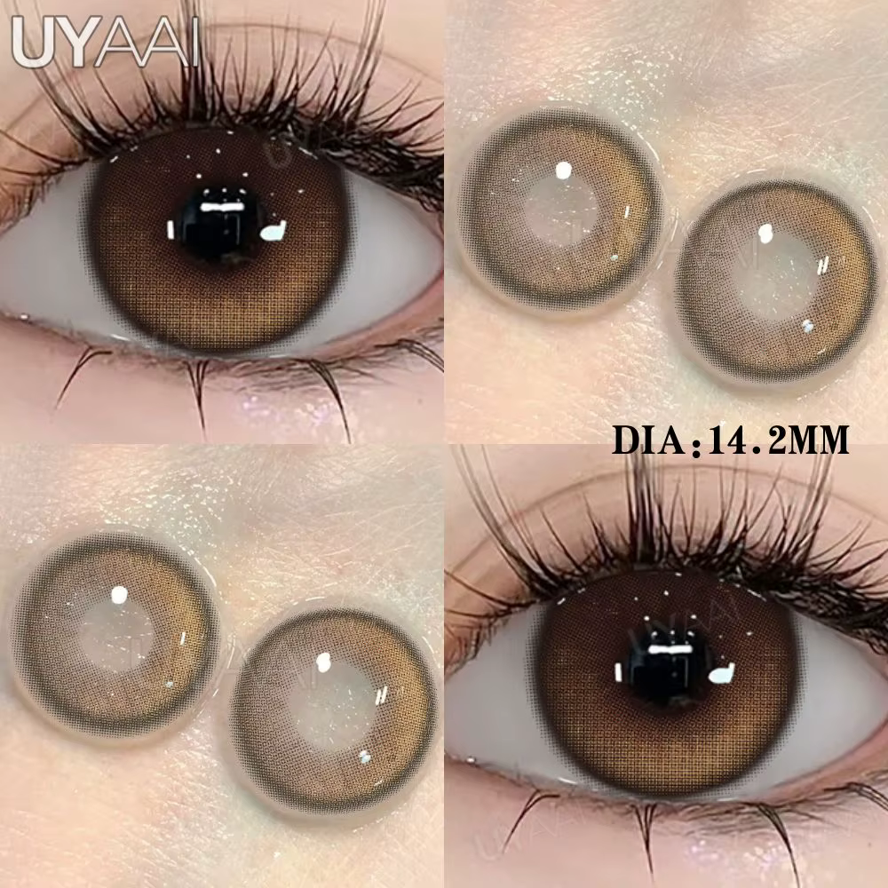 Lentilles Vertes Grises et Vertes