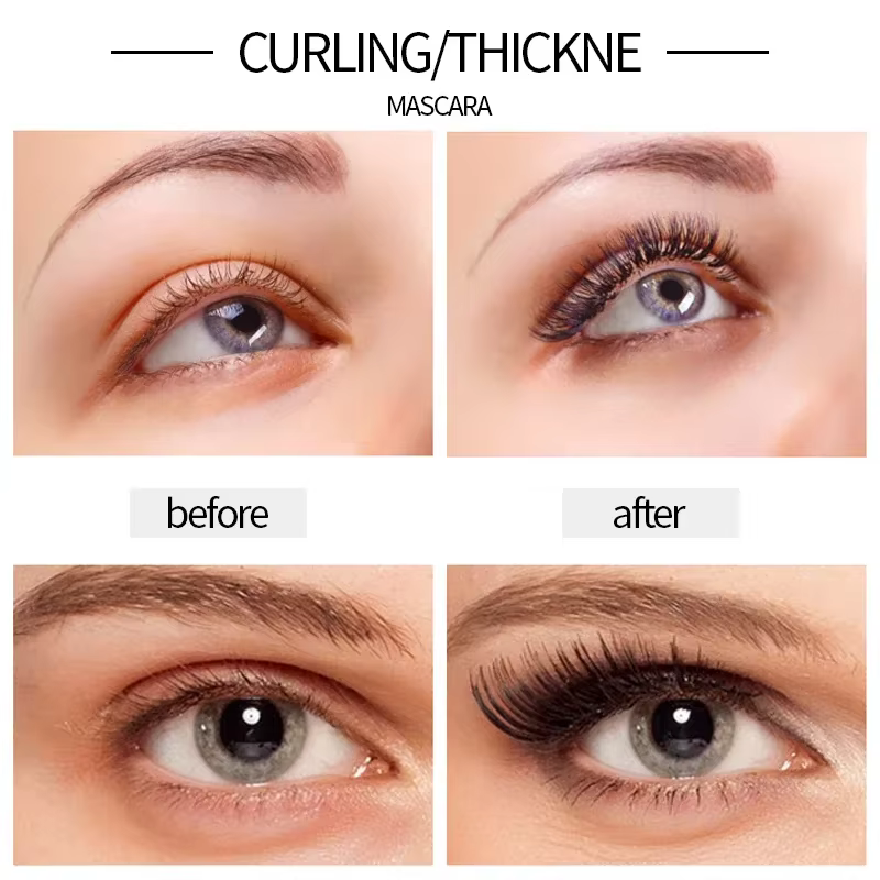 YANQINA crayon Eyeliner liquide + 4D ensemble de Mascara imperméable cosmétiques Eye Liner épais Curling