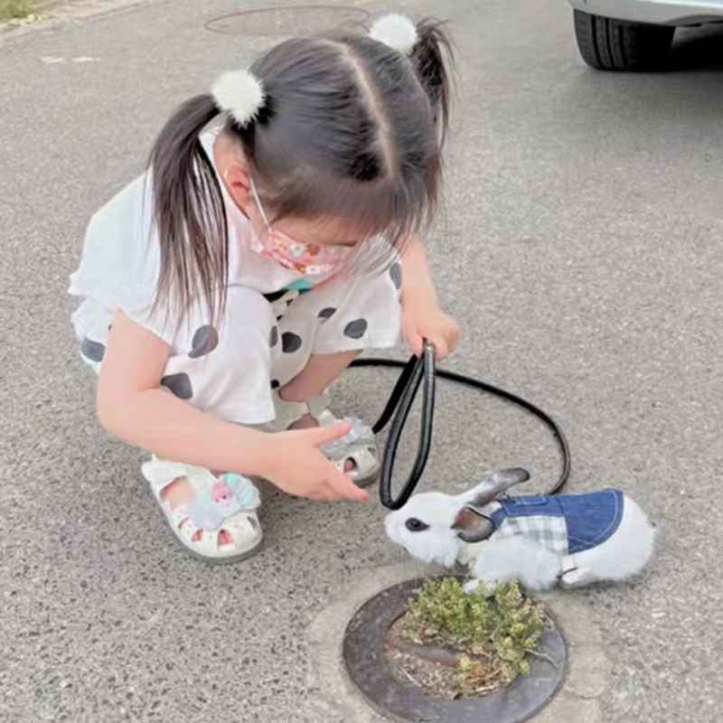 Harnais de promenade pour petits animaux : chinchillas, lapins, cochons d'Inde, lapins hollandais, lapins à oreilles tombantes – Accessoires en jean pour animaux de compagnie