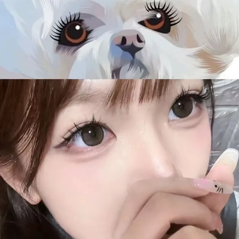 Faux cils en grappes individuelles de la série Puppy