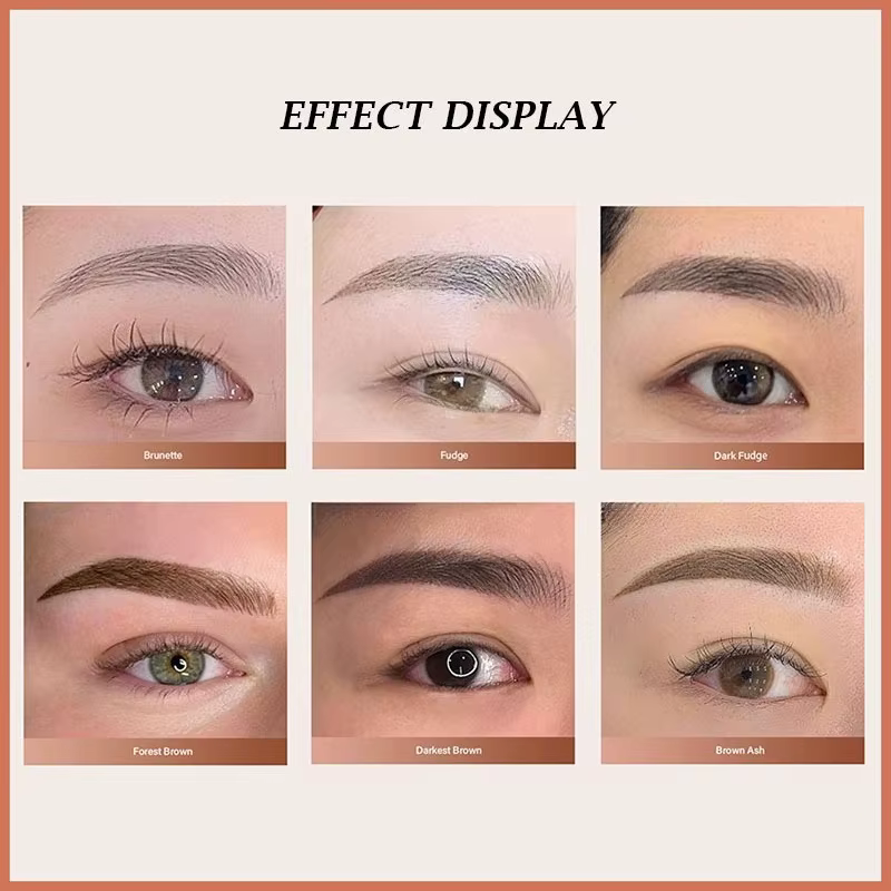 Pigments de maquillage permanents de qualité supérieure