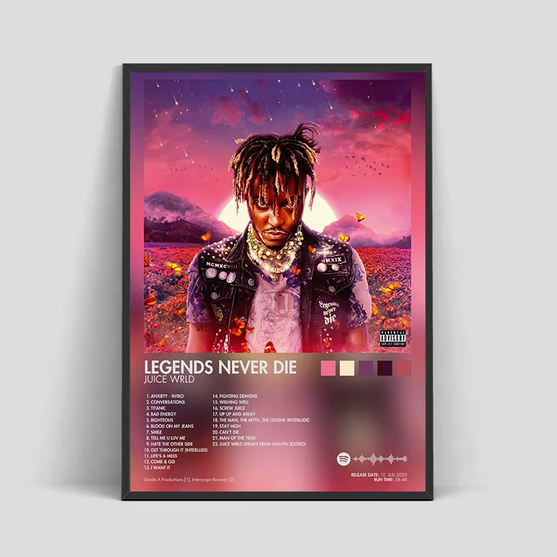 Couverture d'album de musique Rap, affiche de chanteur masculin et féminin, toile de rappeur esthétique Hip Hop Rock, Art mural idéal pour la décoration de la pièce, sans cadre