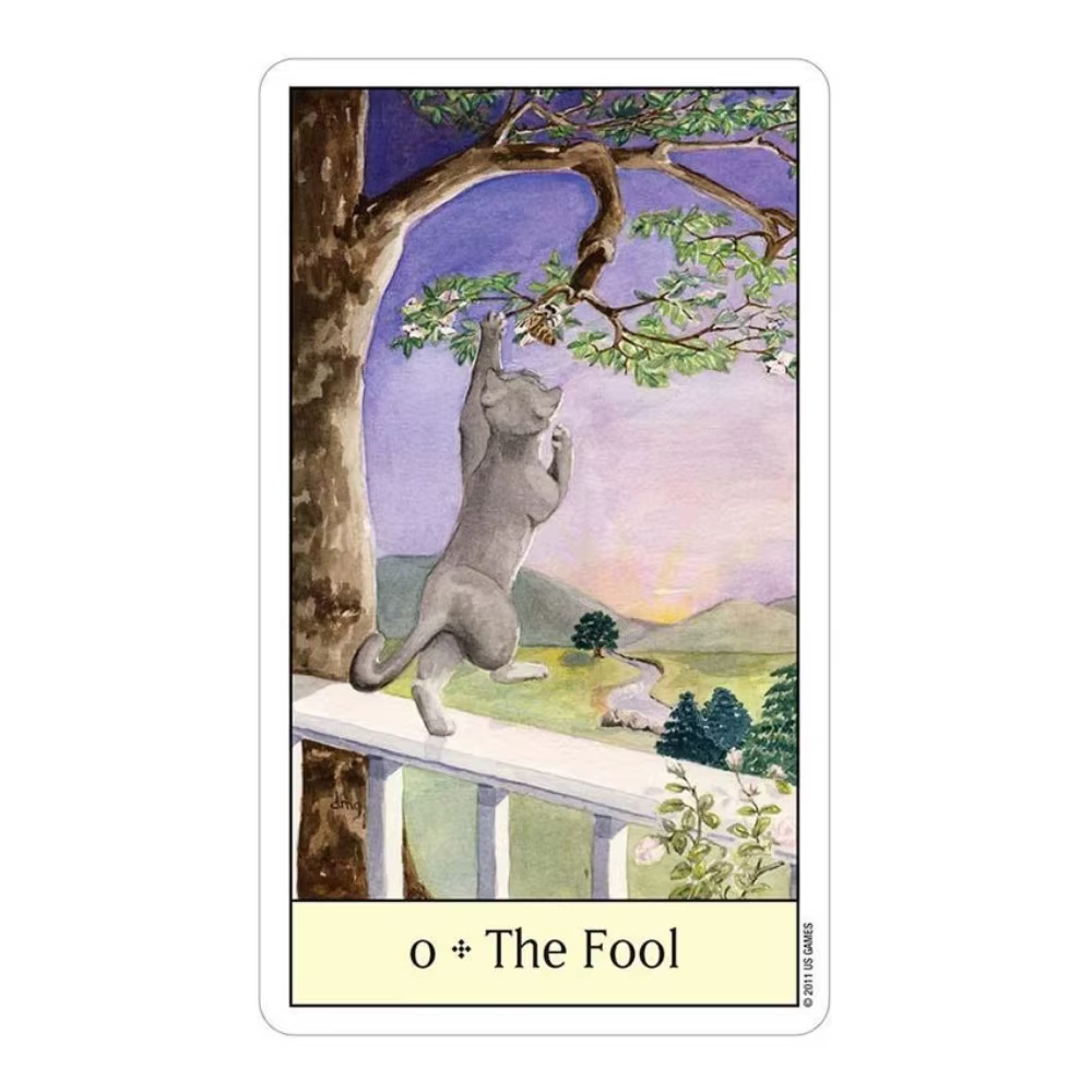 Jeux de cartes Tarot œil de chat 12x7 cm