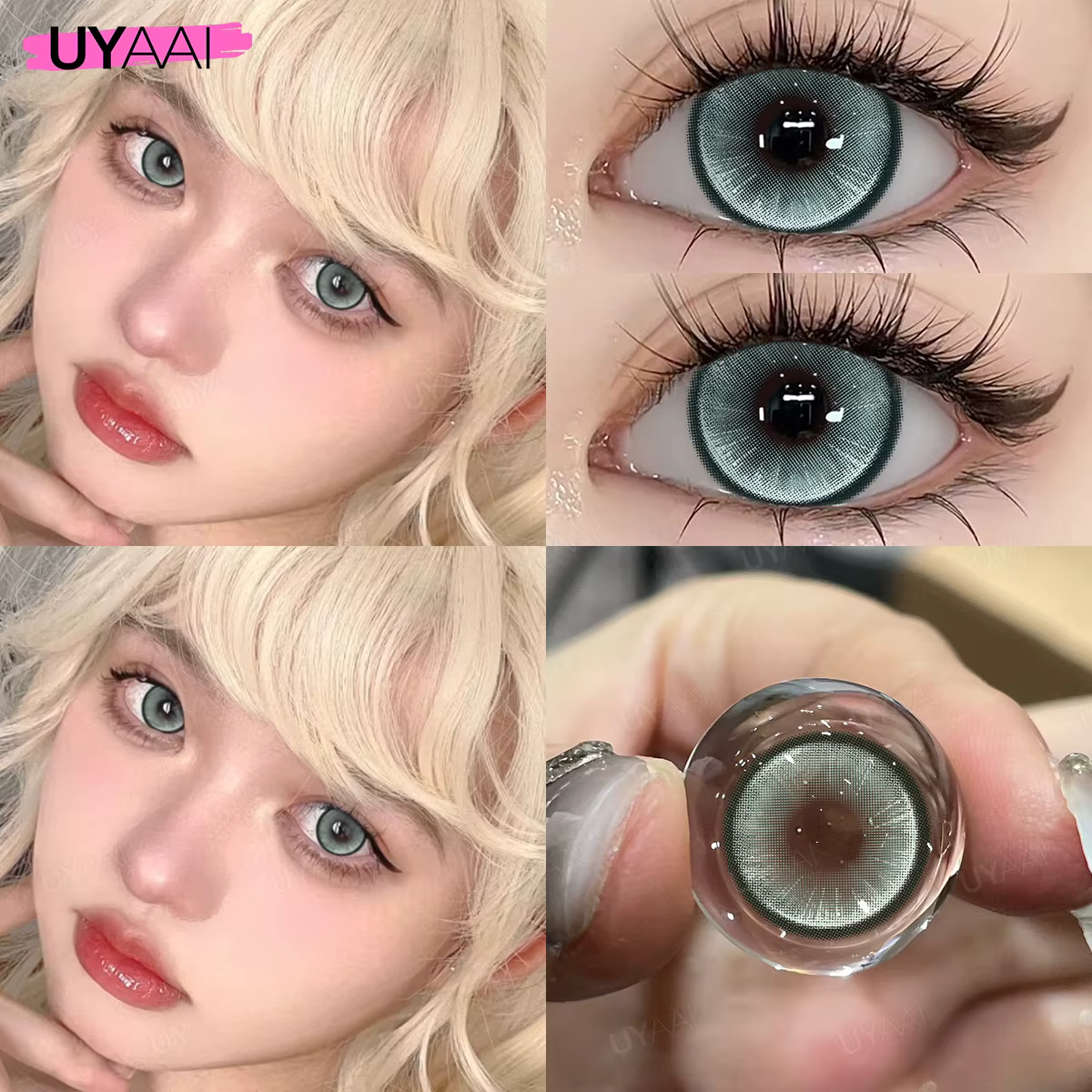 Lentilles Vertes Grises et Vertes