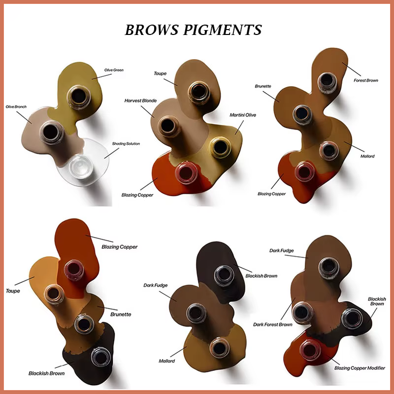 Pigments de maquillage permanents de qualité supérieure