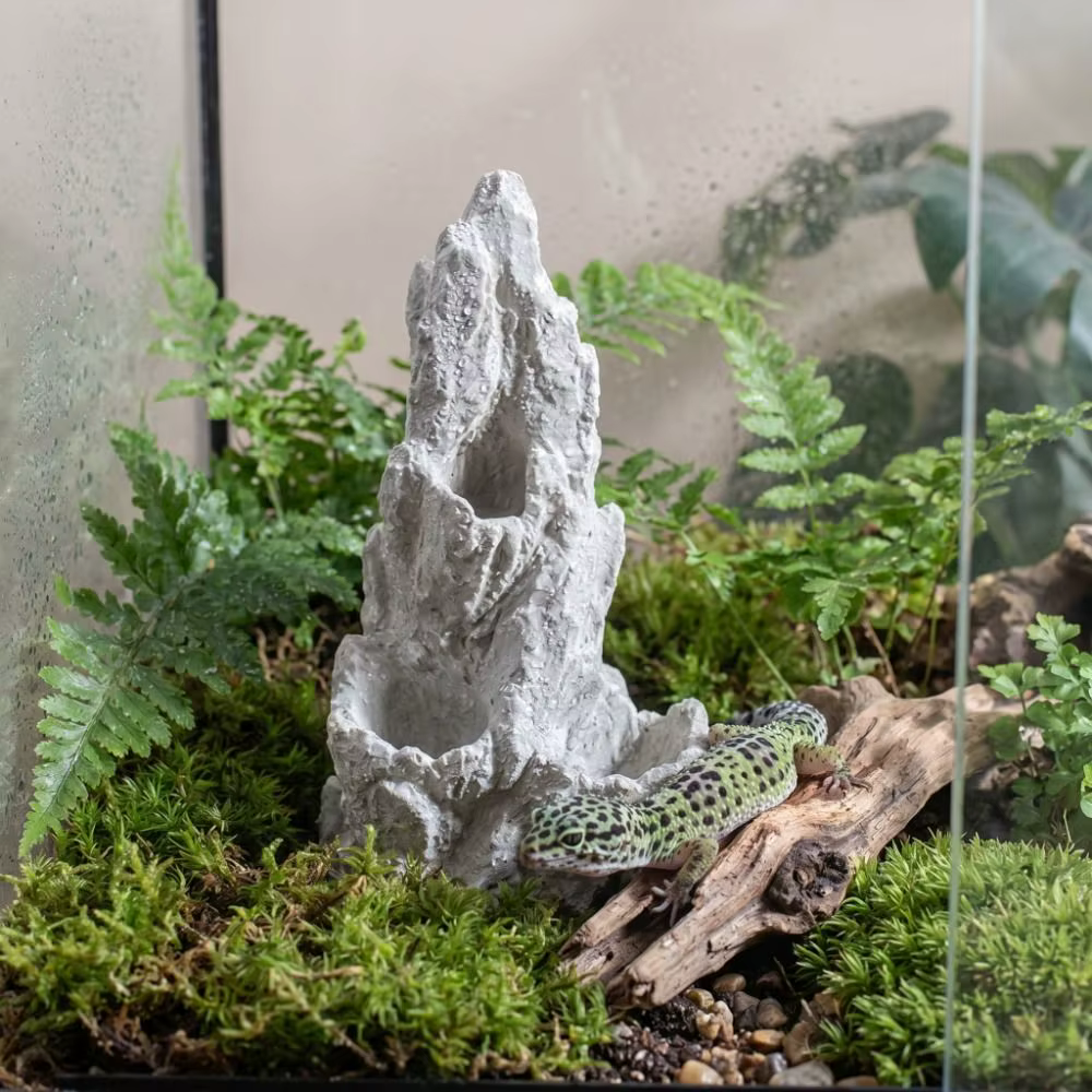 Décoration de terrarium pour reptiles, imitation montagne, aspect pierre de ciment, roche paysagère, fond antidérapant pour aquarium et terrarium