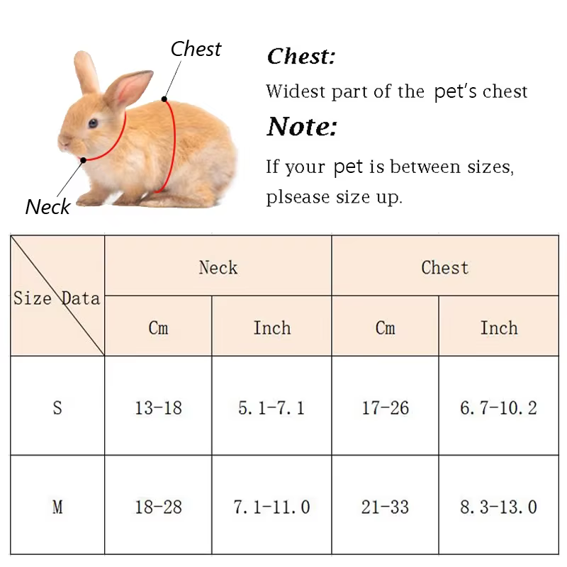 Harnais pour lapin et cochon d'Inde, pour petits animaux, ensemble mignon de harnais et laisse pour lapins, chinchillas, cochons et autres animaux de compagnie, accessoires