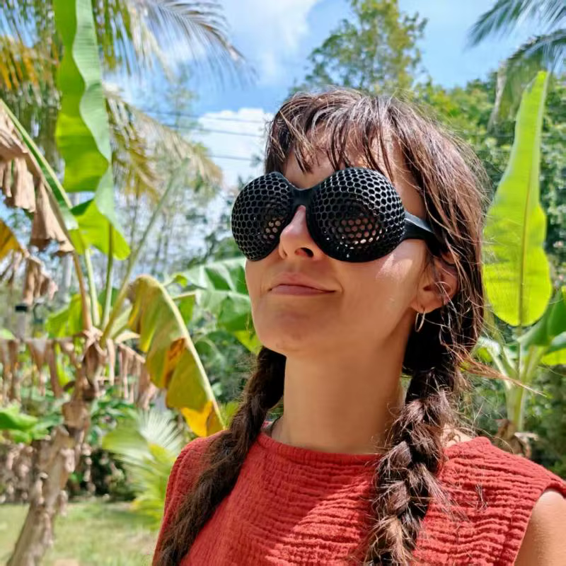 Lunettes amusantes en forme d'insectes avec détails 3D pour les créateurs et les concepteurs de costumes