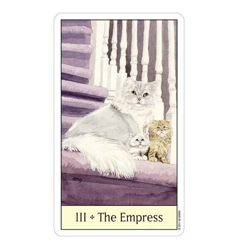 Jeux de cartes Tarot œil de chat 12x7 cm