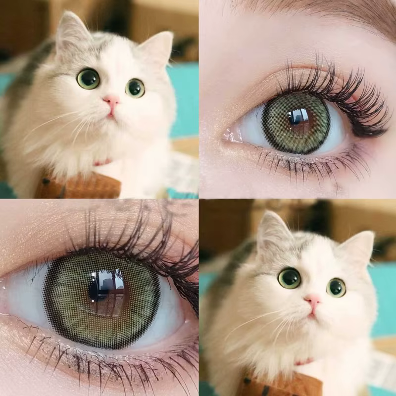 DUOXIU 2 pièces 1 paire de lentilles de Contact de couleur pour les yeux cosmétiques