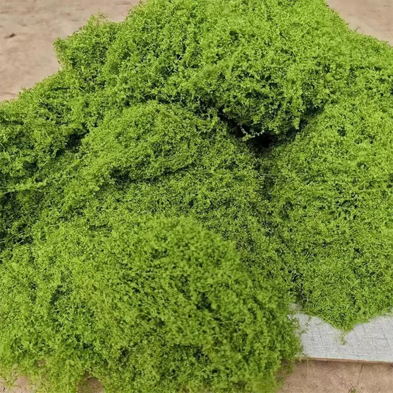 50g vert fausse mousse bricolage artisanat herbe mousse artificielle Faux mousse conservée plante verte maison chambre jardin décor paysage fausse herbe