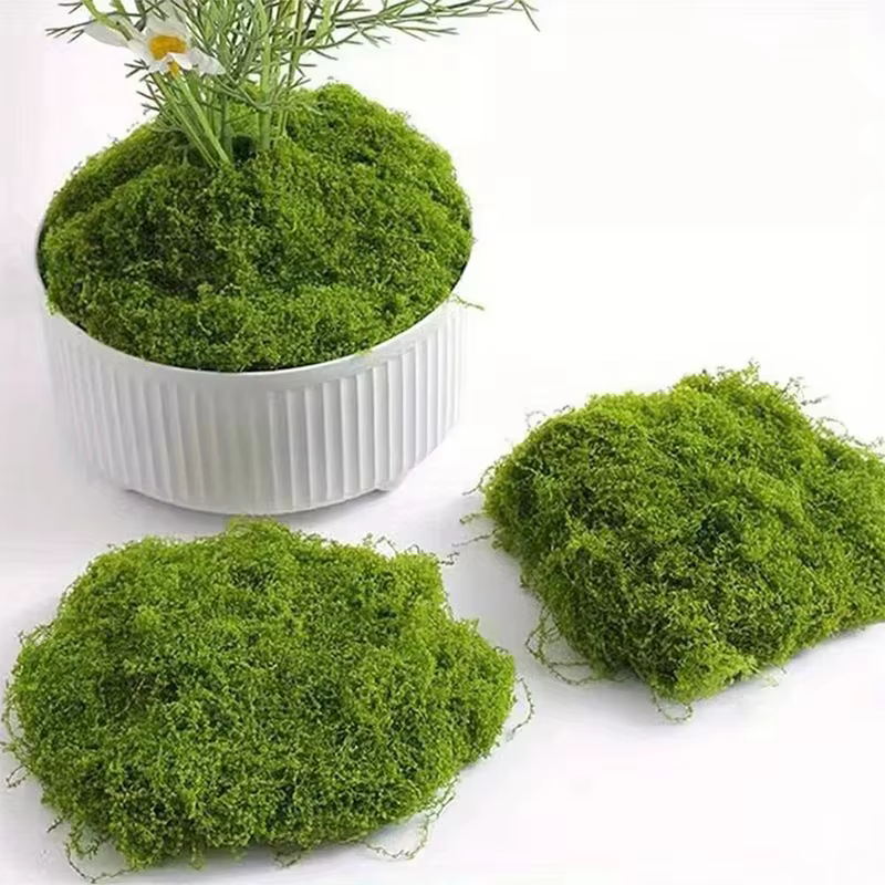 50g vert fausse mousse bricolage artisanat herbe mousse artificielle Faux mousse conservée plante verte maison chambre jardin décor paysage fausse herbe