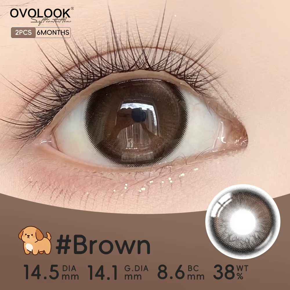 Lentilles de contact souples OVOLOOK couleur ambre naturel chaud et lumineux pour débutants