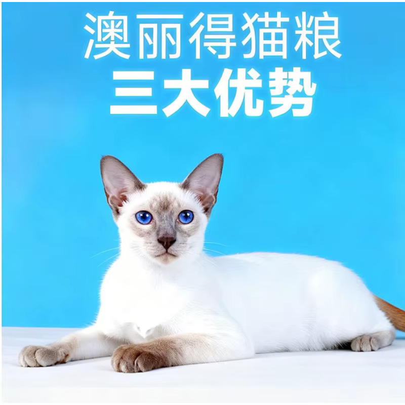 Nourriture pour chats en gros, 500g, prix complet, spéciale chatons et chats adultes, adaptée aux maisons à plusieurs chats