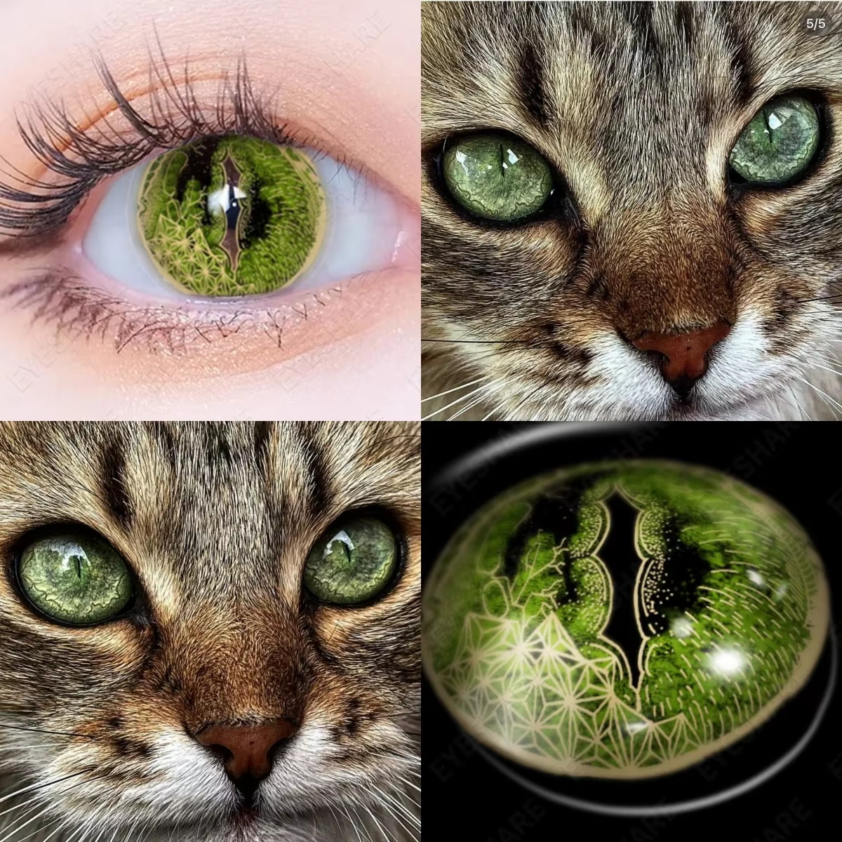 AMARA CAT EYE Cosplay lentilles de Contact de couleur bleue pour les yeux maquillage annuel Halloween beauté