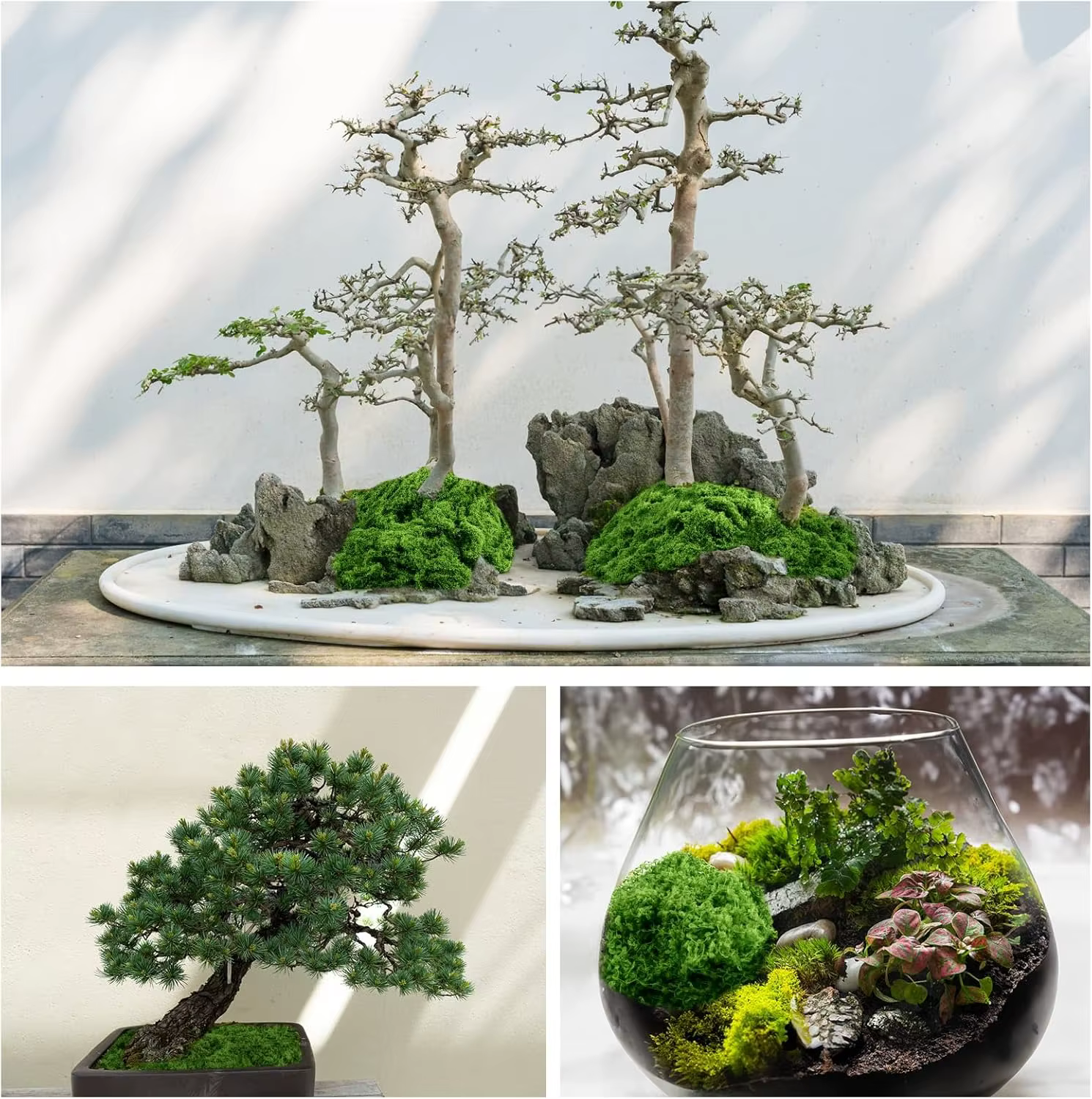 Faux mousse verte, artisanat de bricolage, herbe artificielle, fausse mousse conservée, plante verte, décoration de jardin, salle de maison, paysage, fausse herbe