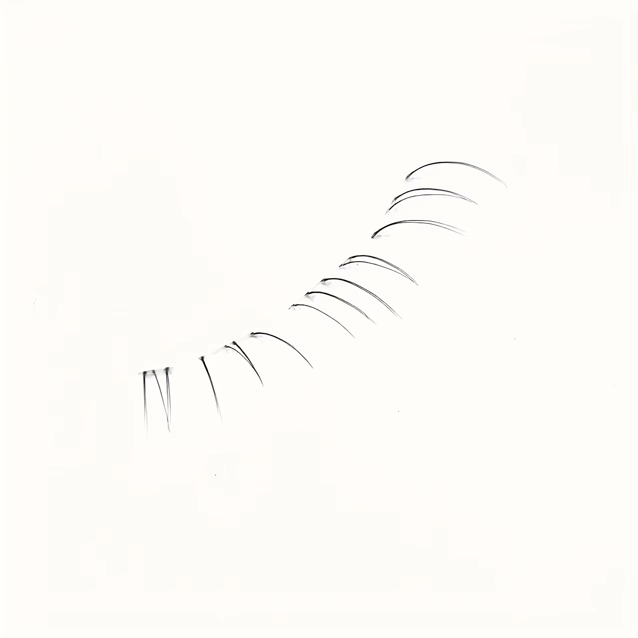 Cils inférieurs Duoduotian Cat Paw