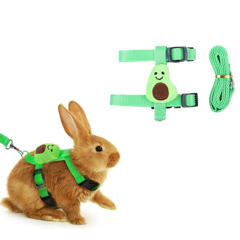 Fournitures de réveil en plein air pour petits animaux, style dessin animé, ensemble SFP et laisse, lapin, overd'inde, accessoires pour animaux de compagnie
