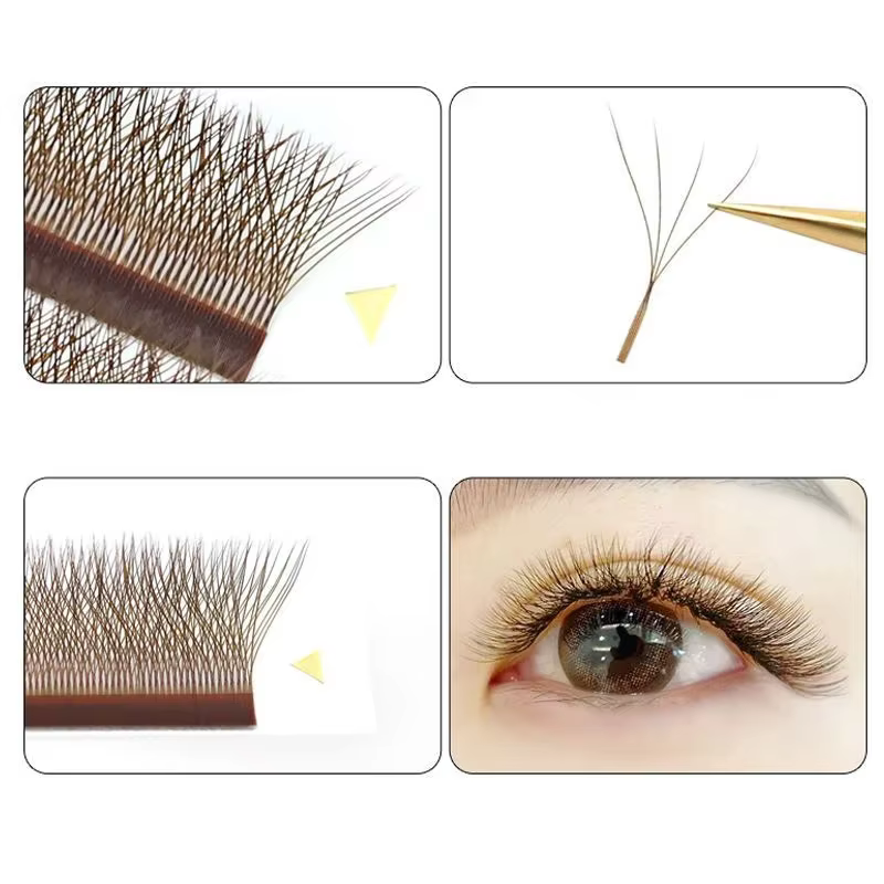MARIA brun 4D W forme Type cils individuels Extension
