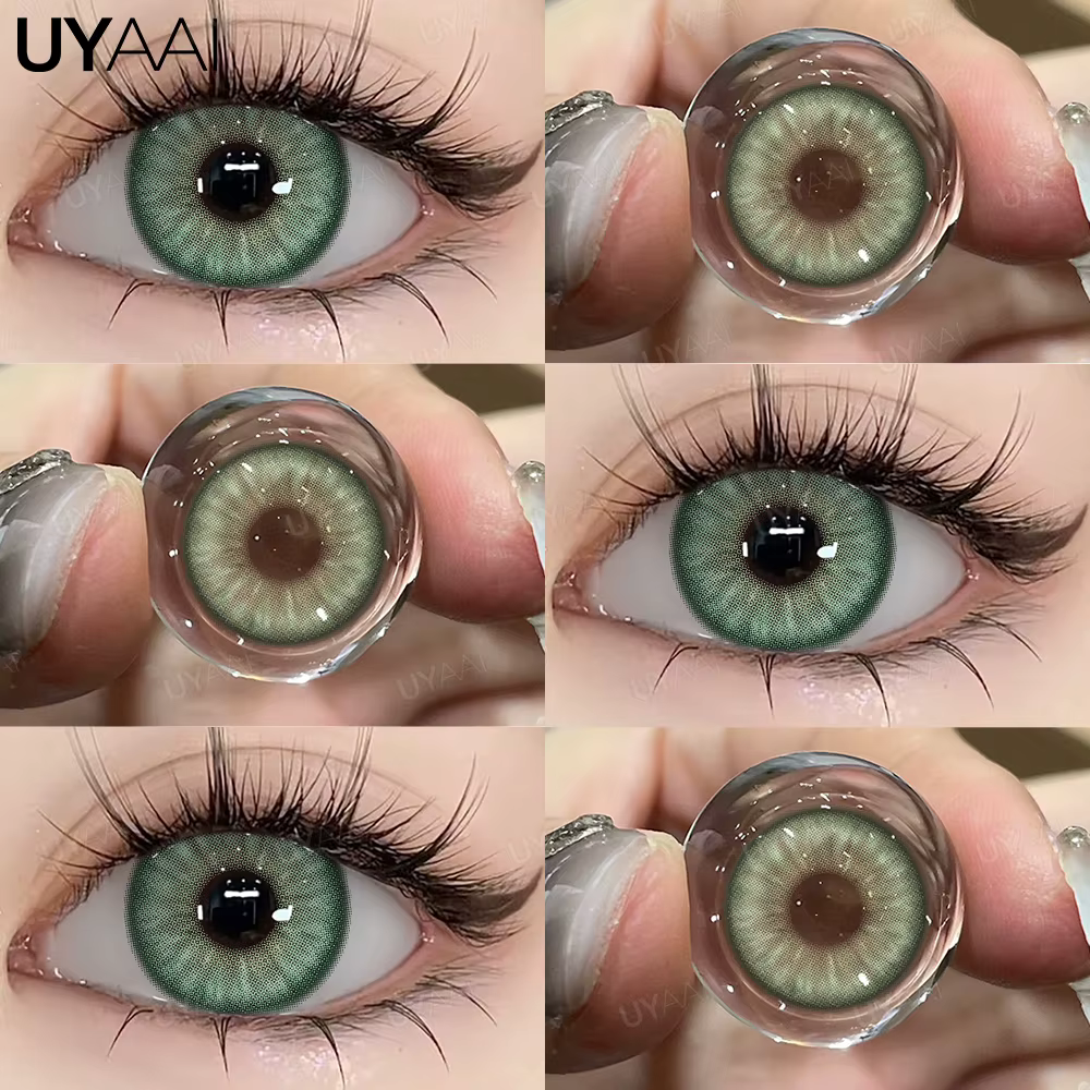 Lentilles Vertes Grises et Vertes