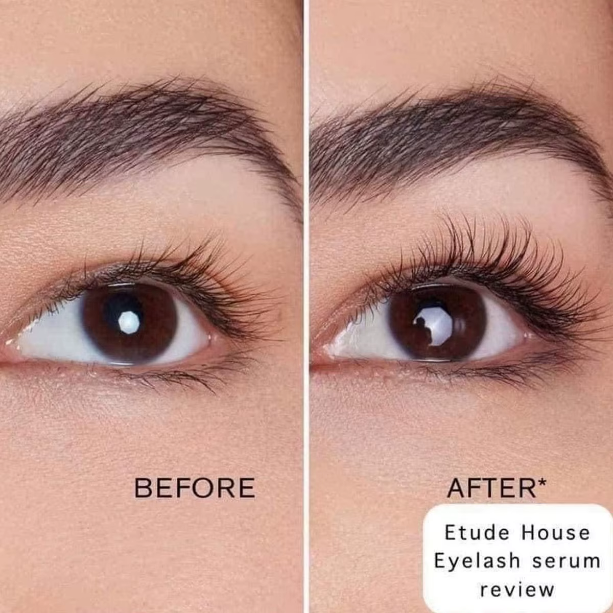 Sérum pour cils ETUDE, soin et nutrition des cils