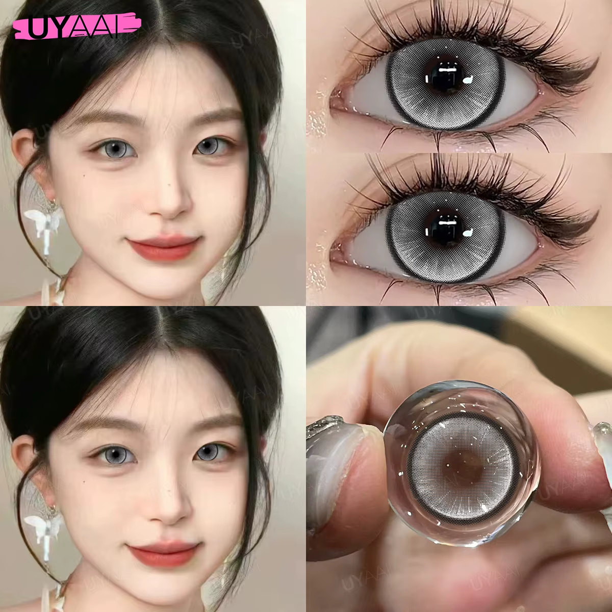 Lentilles Vertes Grises et Vertes