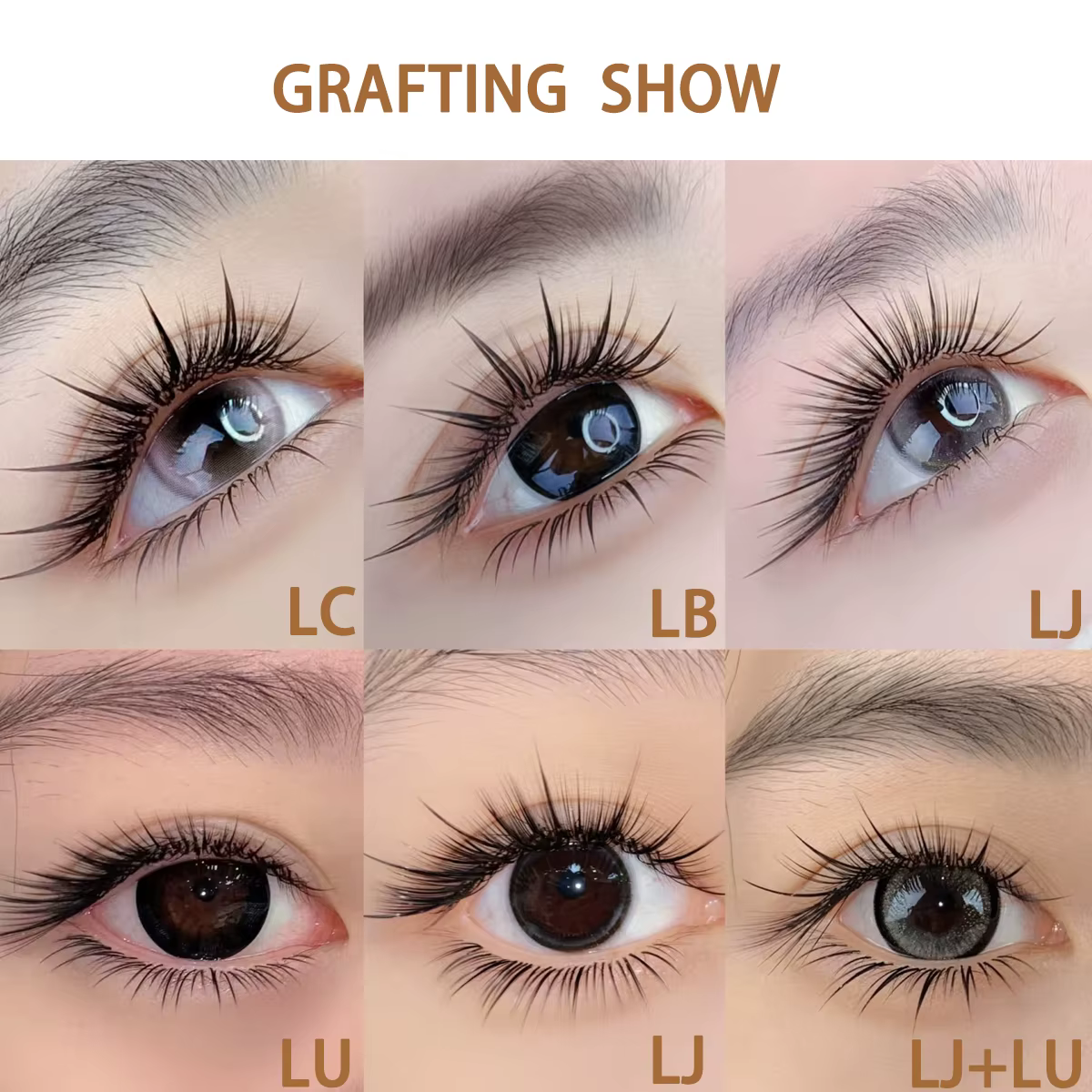 Domi Faux vison Faux Extensions de cils individuels LB LC LD LJ LU Curl Mix haute qualité Faux Camélia facile préfabriqué cils en éventail