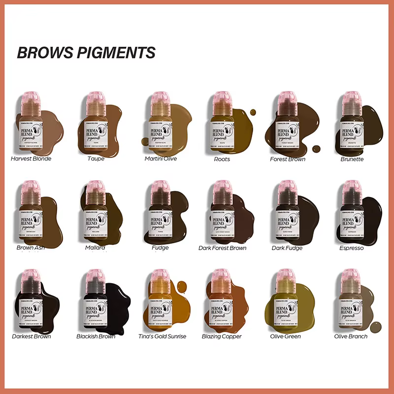 Pigments de maquillage permanents de qualité supérieure