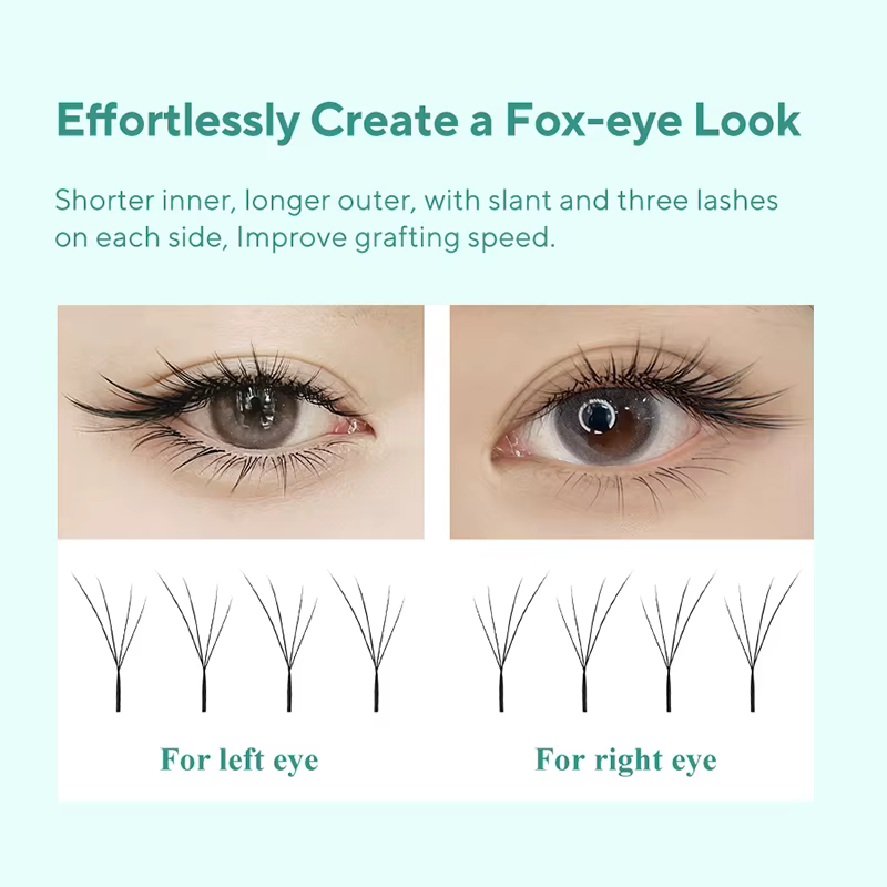 DIYDAY Foxy W-Shaped 3D 4D 5D Extensions de cils en faux vison naturel doux BASF
