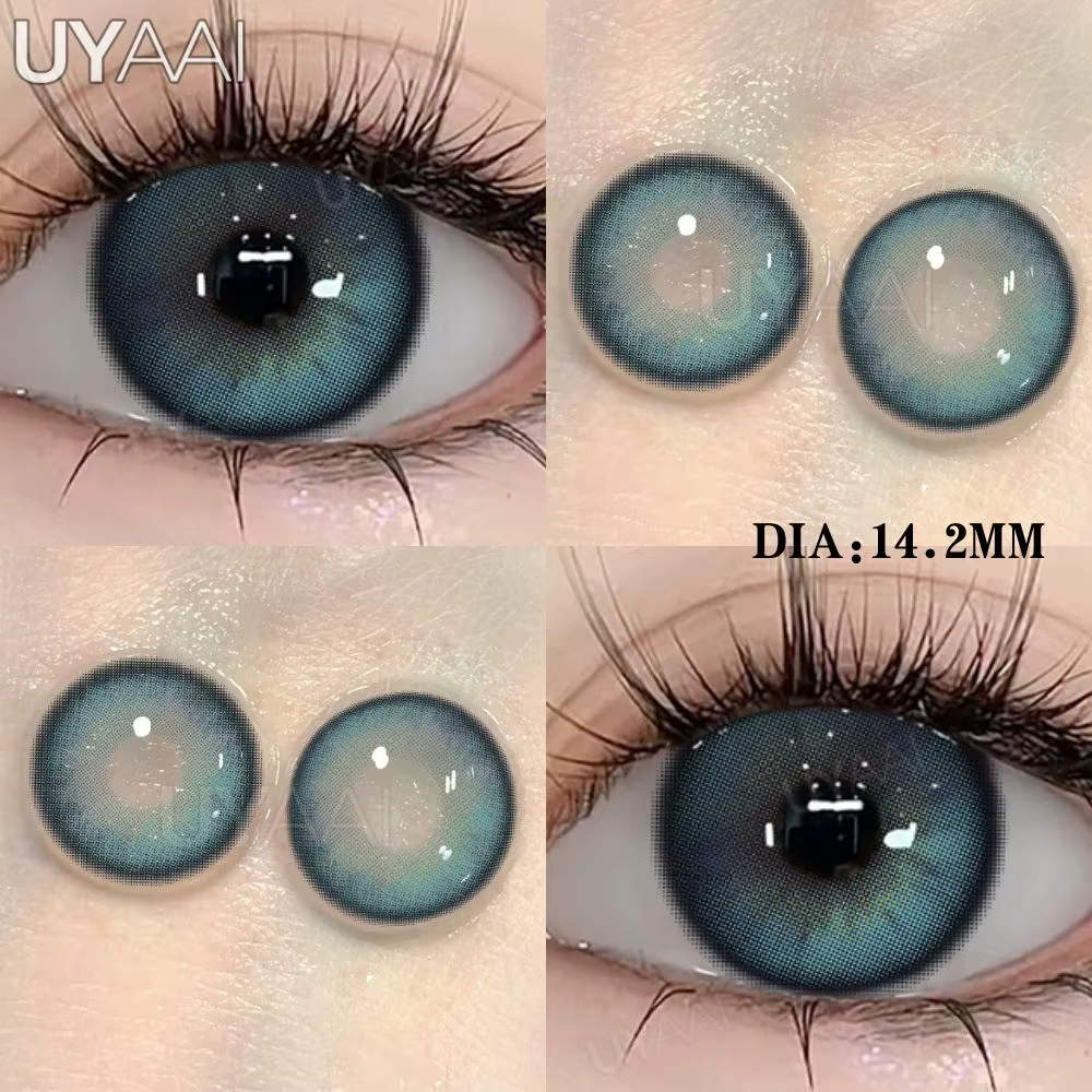 Lentilles Vertes Grises et Vertes