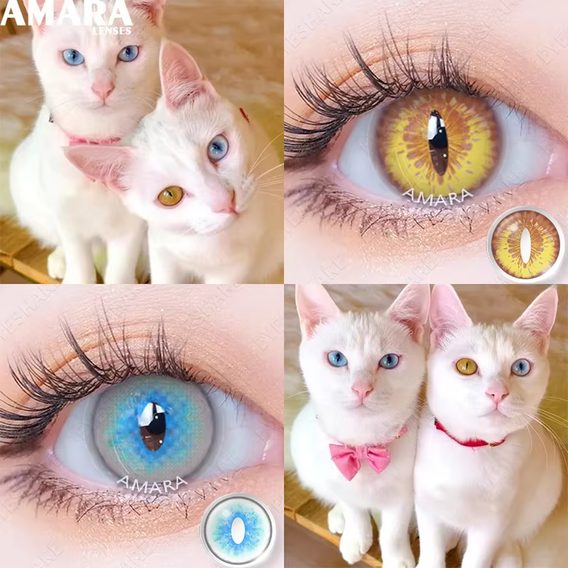 AMARA CAT EYE Cosplay lentilles de Contact de couleur bleue pour les yeux maquillage annuel Halloween beauté
