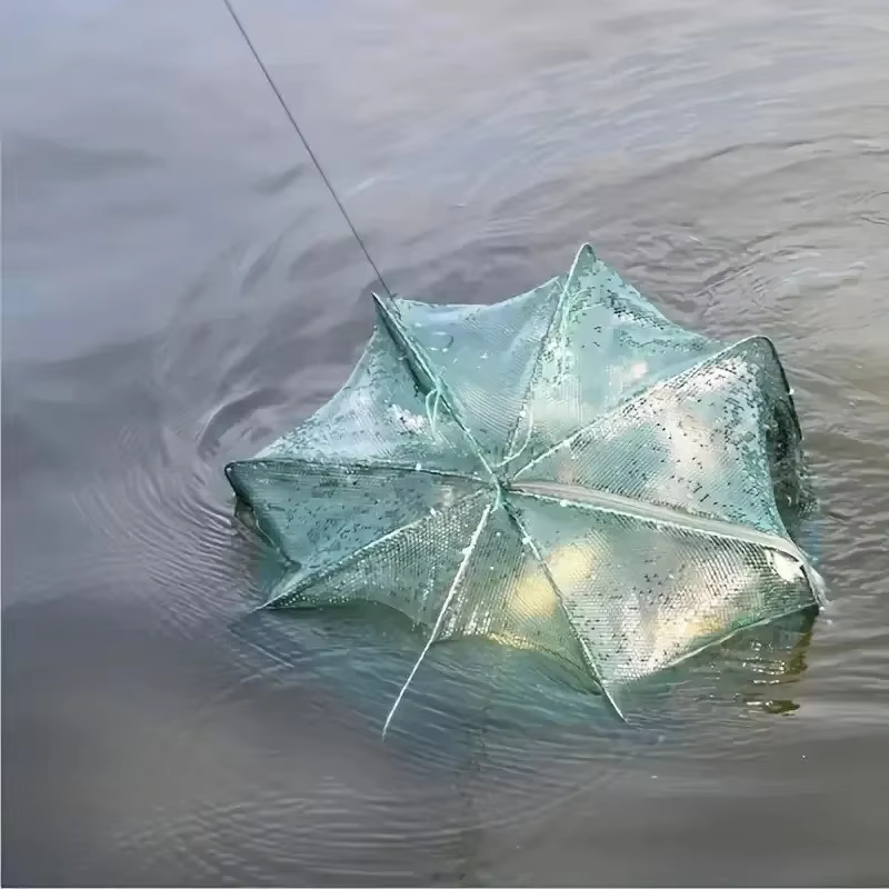 Filet de pêche pliable pour attrapeur de crevettes, piège à crabes, crevettes, écrevisses, anguilles et autres poissons