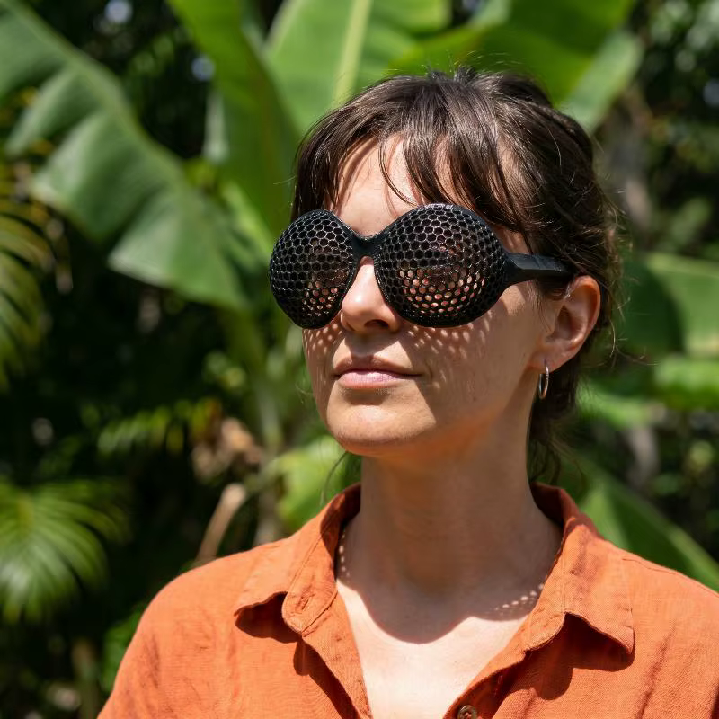 Lunettes amusantes en forme d'insectes avec détails 3D pour les créateurs et les concepteurs de costumes