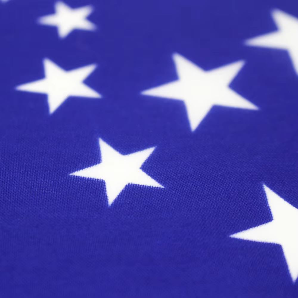 Drapeau du Brésil 90x150cm Drapeau National du Brésil La République Federative du Brésil Drapeau National