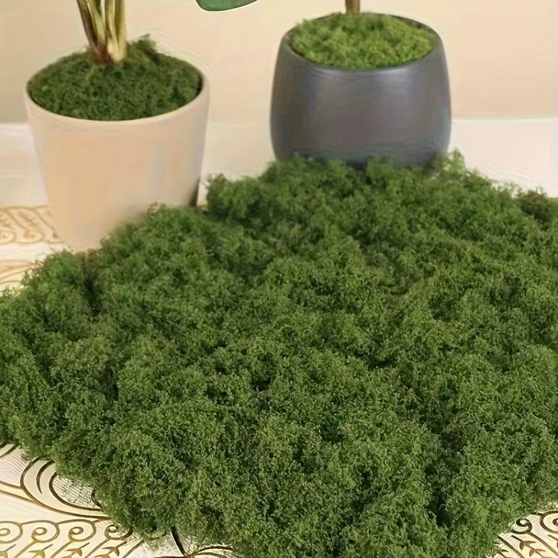 50g vert fausse mousse bricolage artisanat herbe mousse artificielle Faux mousse conservée plante verte maison chambre jardin décor paysage fausse herbe